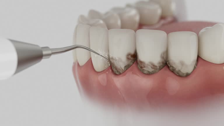 Reliable Dental contractor in University, MS by Dentist Open Now